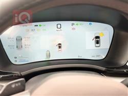 بي واي دي سونغ بلس